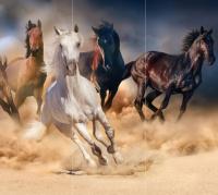 Бегущие лошади Flizetto MATRIX 300*270