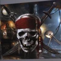 1-420 фотообои 73*202см  Пират