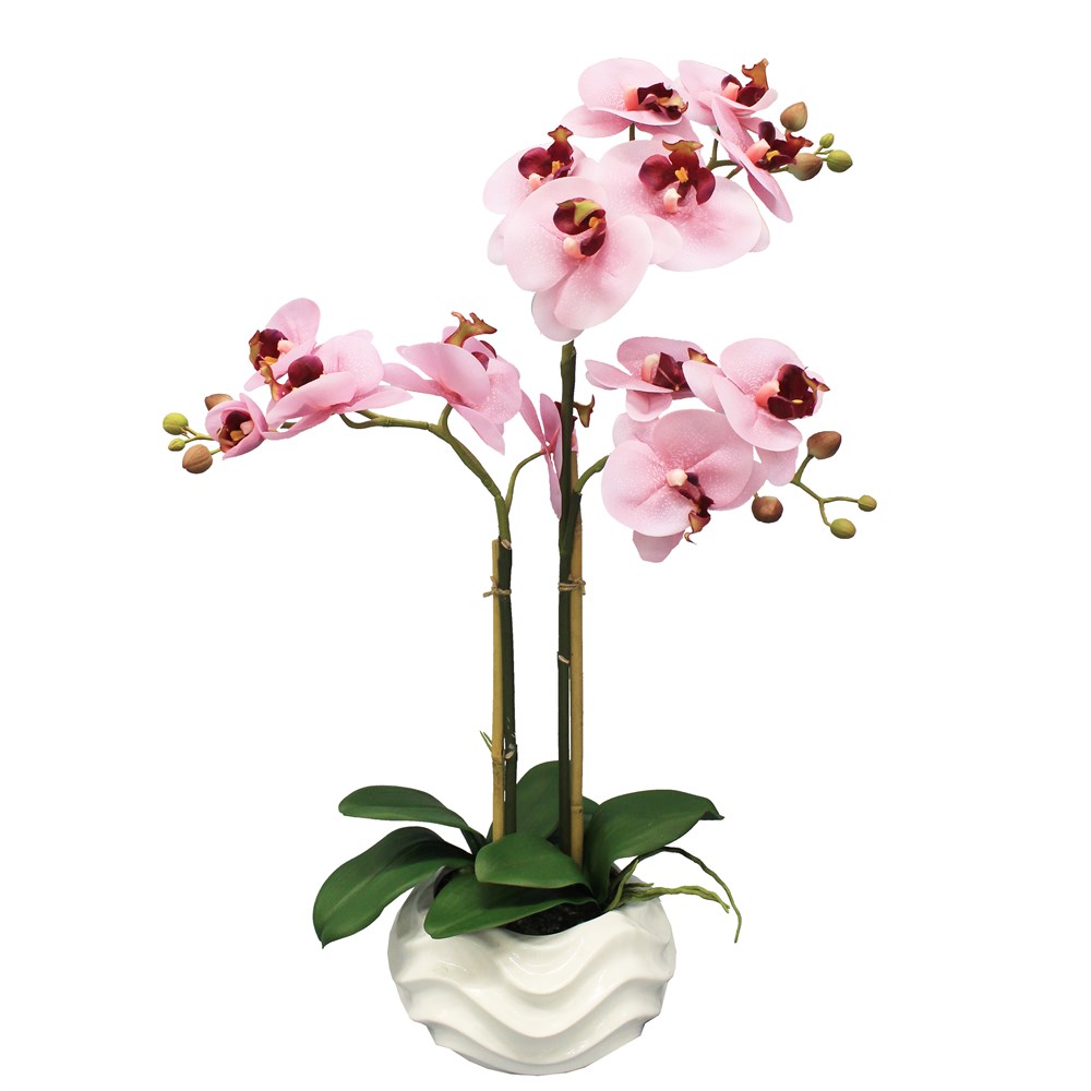 Орхидея в горшке купить в интернет. Орхидея 2 ветки фаленопсис. Орхидея фаленопсис в кашпо. Декор с орхидеями. Кашпо для орхидей декоративное.