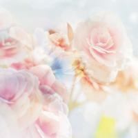 2701P8 Partner/Фотообои/Бумага/3,68*2,54 (4части)