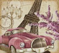 Автомобиль в Париже Flizetto Palmetto 300*270