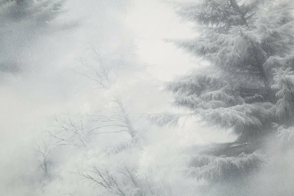 72551-44HC Обои (8) 1,06*10м винил на флизе 10 ВВ ГТ ФО HomeColor