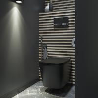 Унитаз подвес IDDIS Bild BILR2BMi25 безободковы+сид ЧЕРНЫЙ МАТОВЫЙ