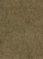 40303FE обои бум. с акр/напыл. 0,7*10м РАСПРОДАЖА