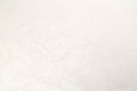 72440-21 HC Обои (8) 1,06*10м винил на флизе 10 ВВ ГТ ФО HomeColor РАСПРОДАЖА