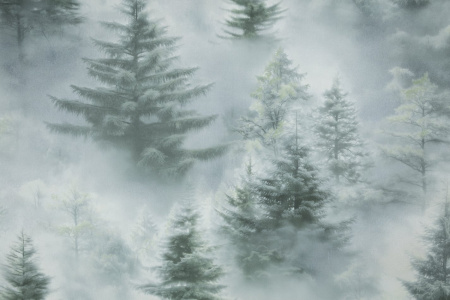 72551-71HC Обои (8) 1,06*10м винил на флизе 10 ВВ ГТ ФО HomeColor