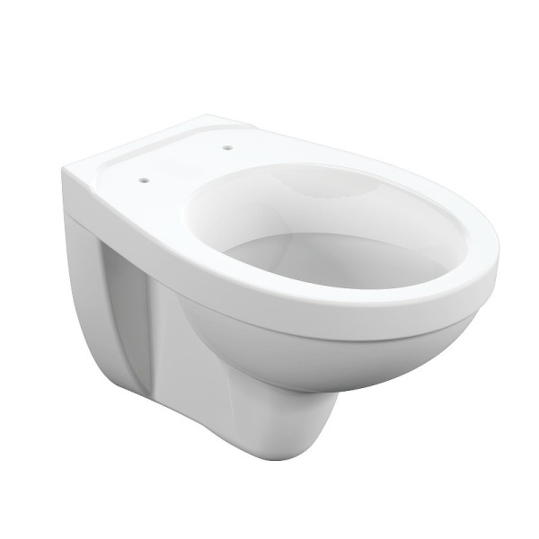 Унитаз подвесной  DELFI  с сиденьем TPL S-MZ-DELFI-PL 