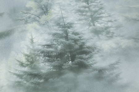 72551-71HC Обои (8) 1,06*10м винил на флизе 10 ВВ ГТ ФО HomeColor